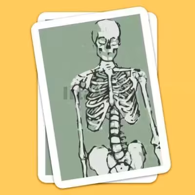 برچسب مات مدل اسکلت