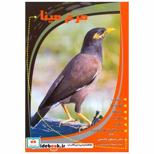 کتاب مرغ مینا اثر مسعود هاشمی