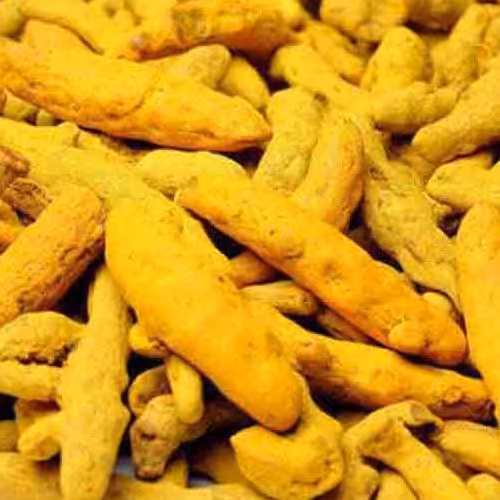 زرد چوبه قلم هندی درجه یک 