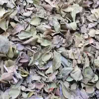 آویشن شیرازی (آویشن برگ پهن)