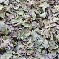 آویشن شیرازی (آویشن برگ پهن)