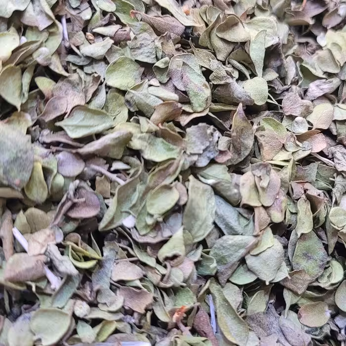 آویشن شیرازی (آویشن برگ پهن)