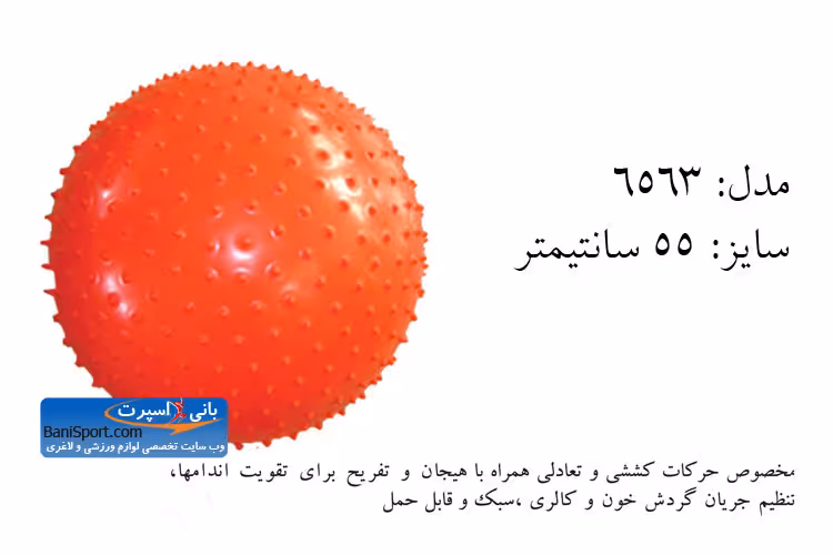 توپ پیلاتس 6563