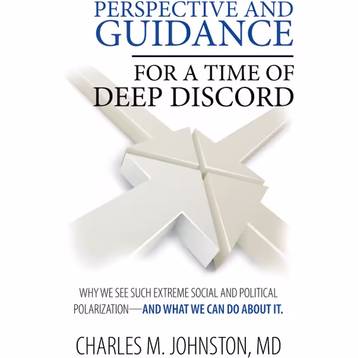 کتاب زبان اصلی Perspective and Guidance for a Time of Deep Discord Why We See Su