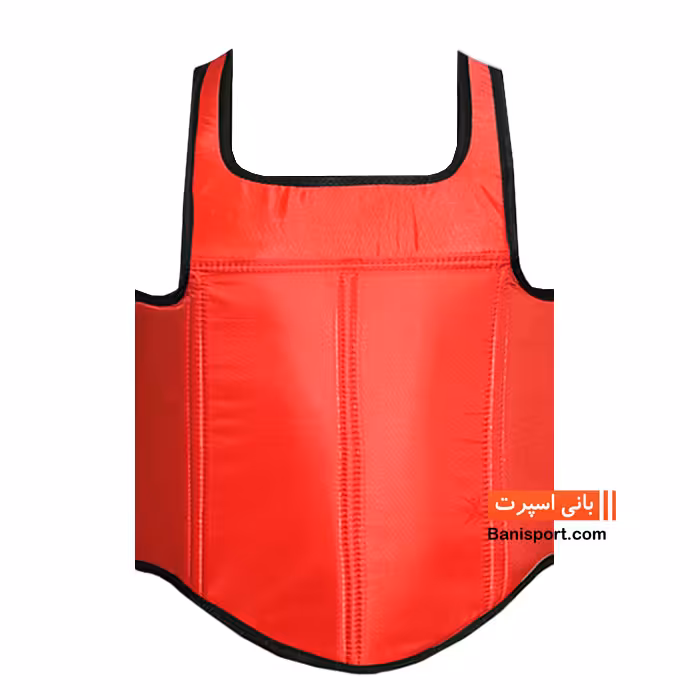 هوگو سانشو ووشو