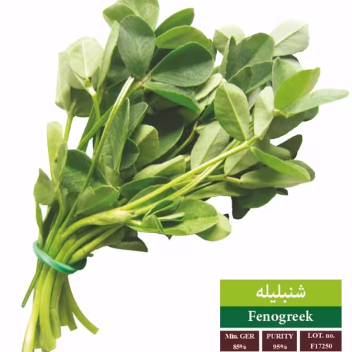 بذر شنبلیله بذر طلایی رویان (یک بسته)