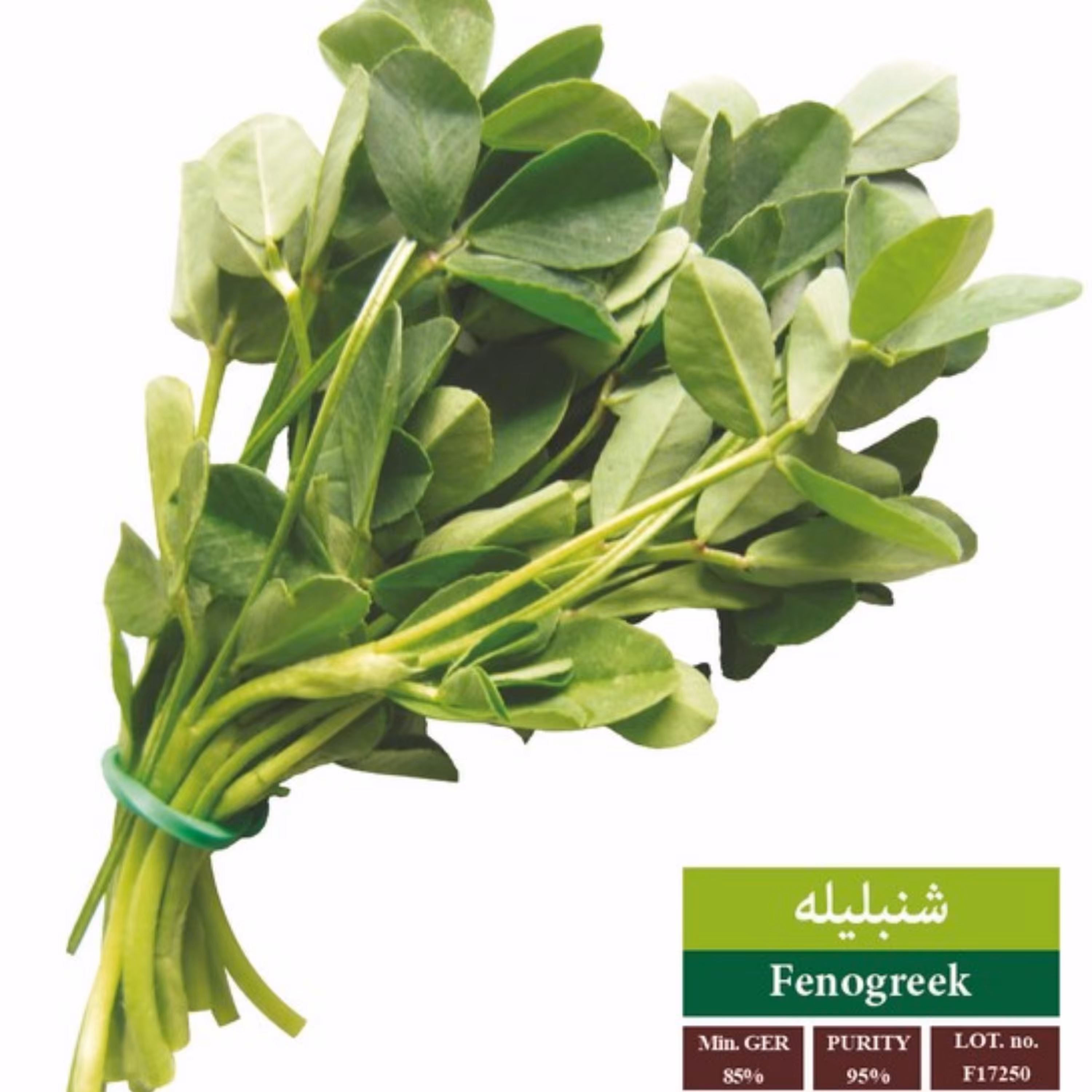 بذر شنبلیله بذر طلایی رویان (یک بسته)