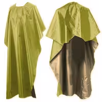 پیشبند برزنتی یک عددی