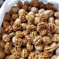 گردو تویسرکان 1402.(یک کیلویی). مغز سفیدوچرب