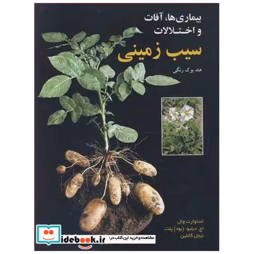بیماری ها، آفات و اختلالات سیب زمینی هندبوک رنگی