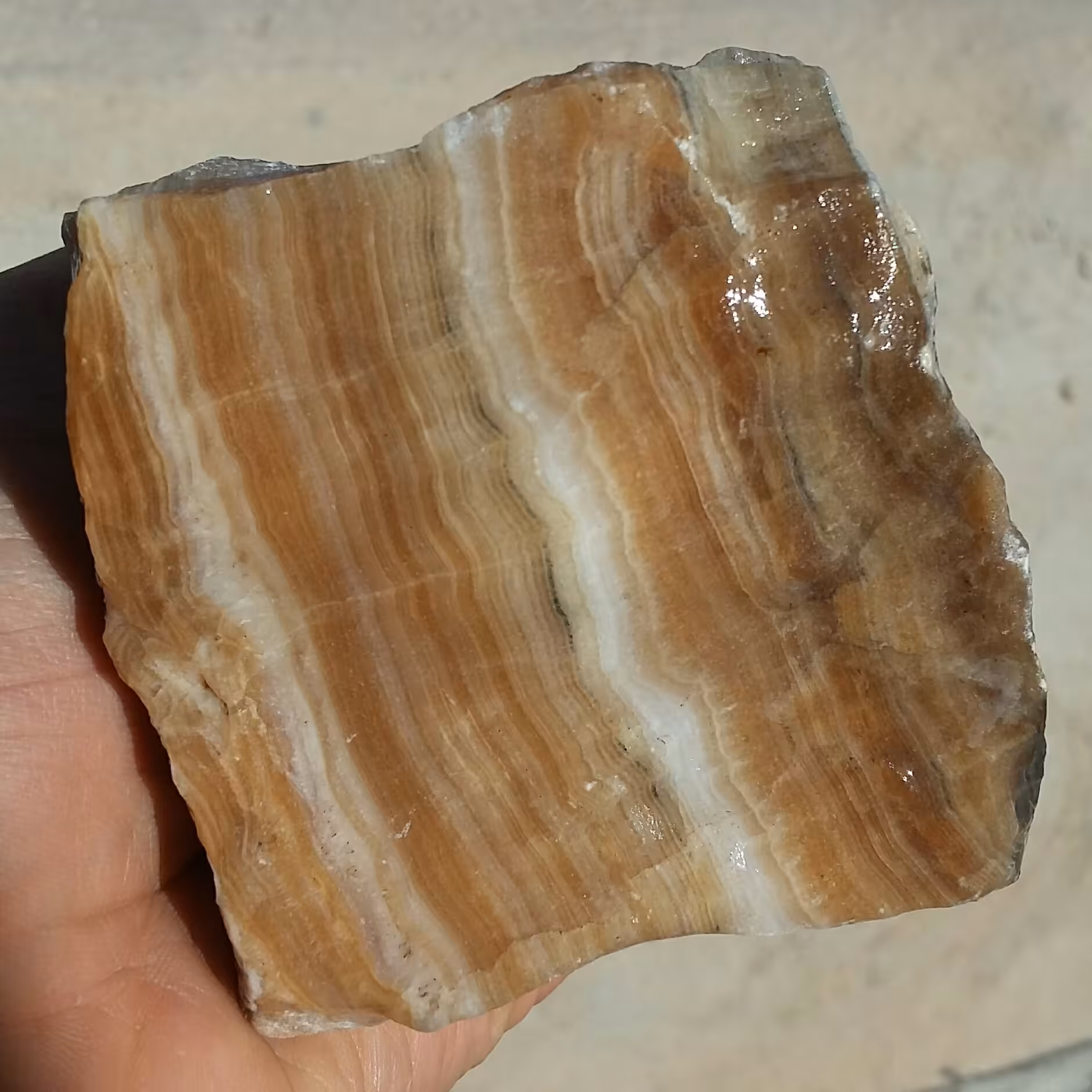 سنگ راف غووولپیکر وارداتی آراگونیت قهوه ای کرم 100 در 100 طبیعی شاهکار خلقت خاص
با قابلیت ساخت چندین نگین و اسلایس مجدد