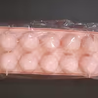 قالب پلاستیکی  یخ 2عددی