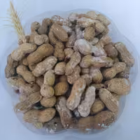 بادام زمینی غلاف دار شور درجه 1 تضمین کیفیت