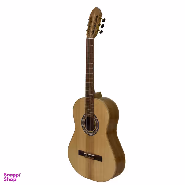 گیتار مدل S1sy-FL