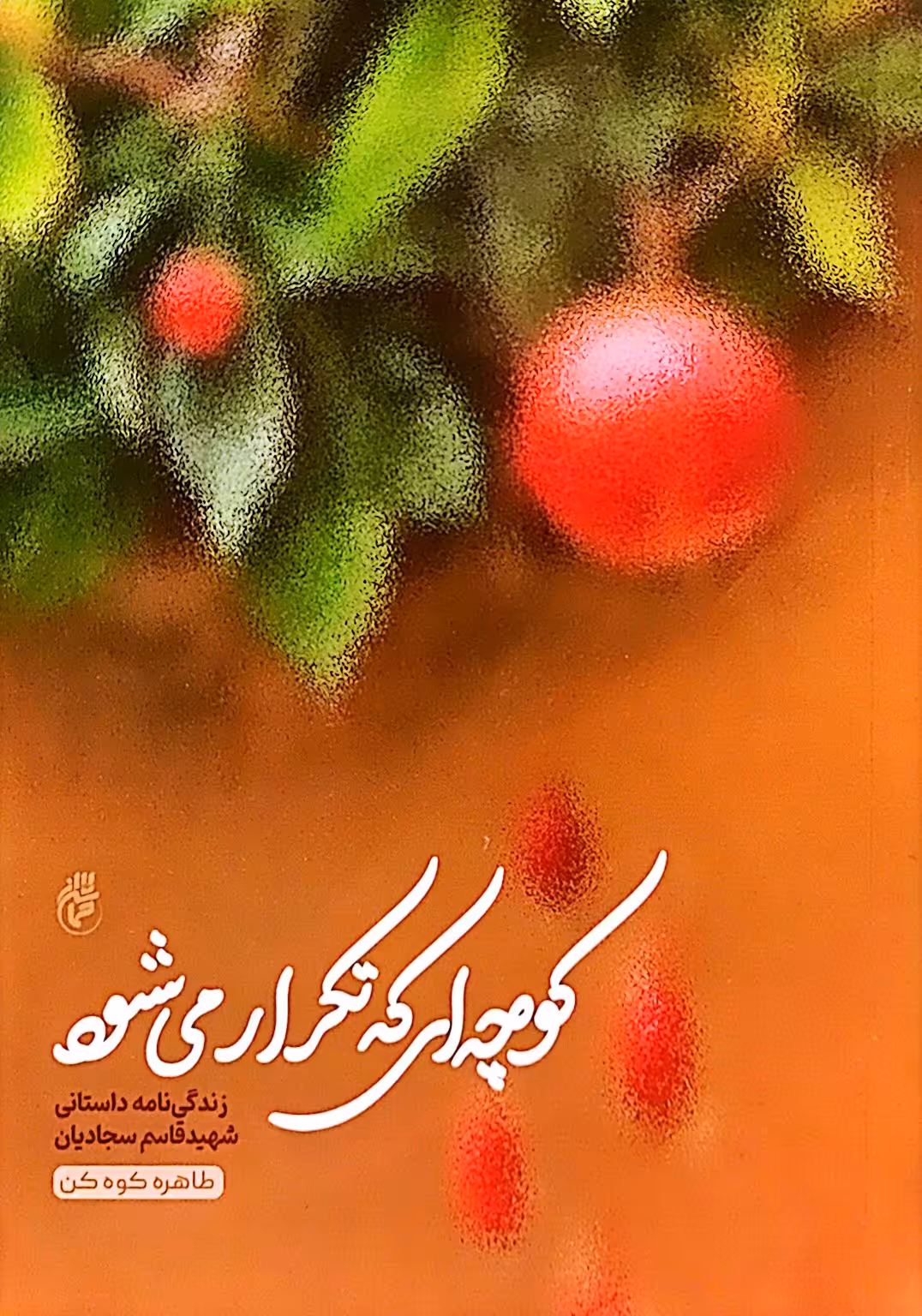 کتاب کوچه ای که تکرار می شود