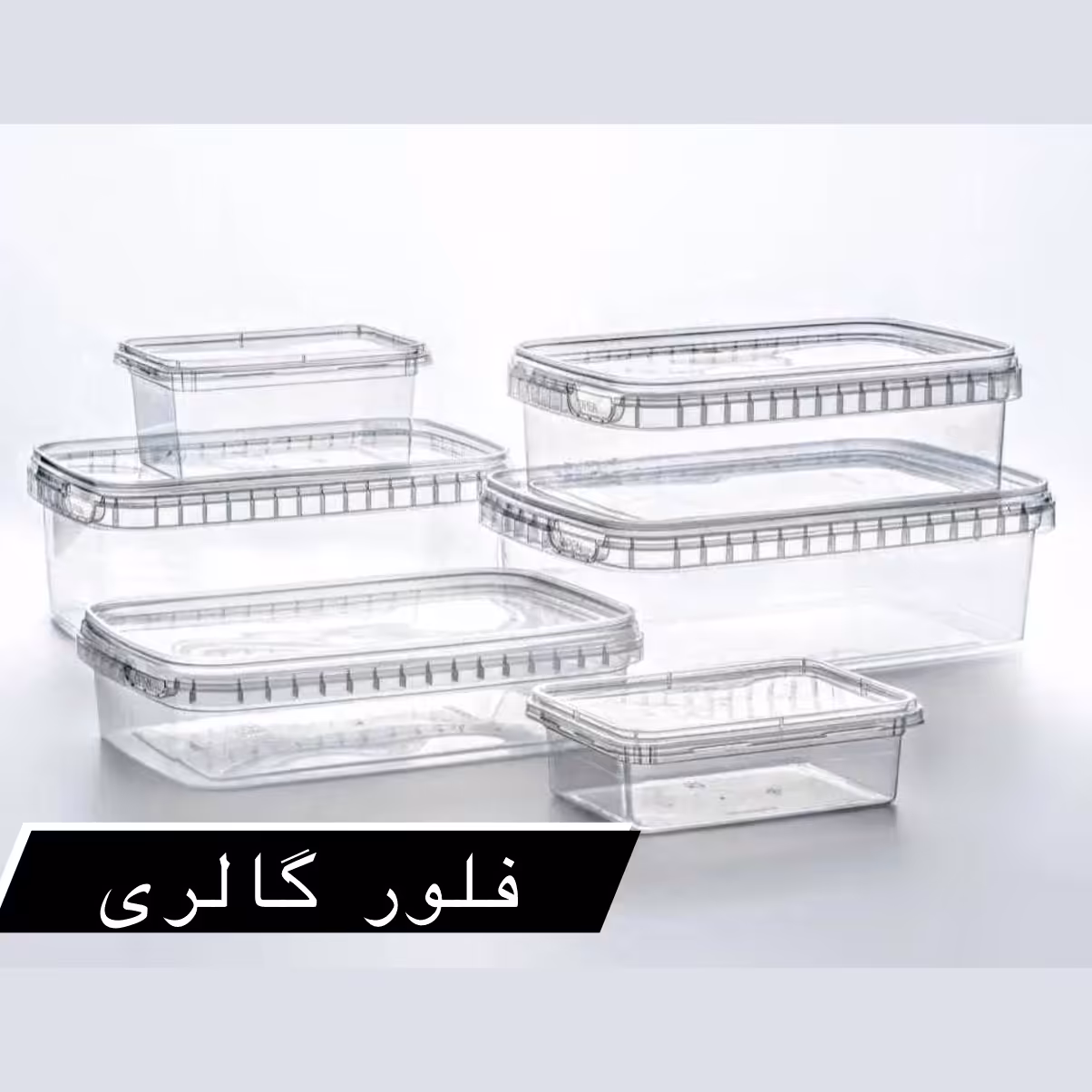 ظرف نگهدارنده فریزری 20 عددی شفاف (2000 گرمی)