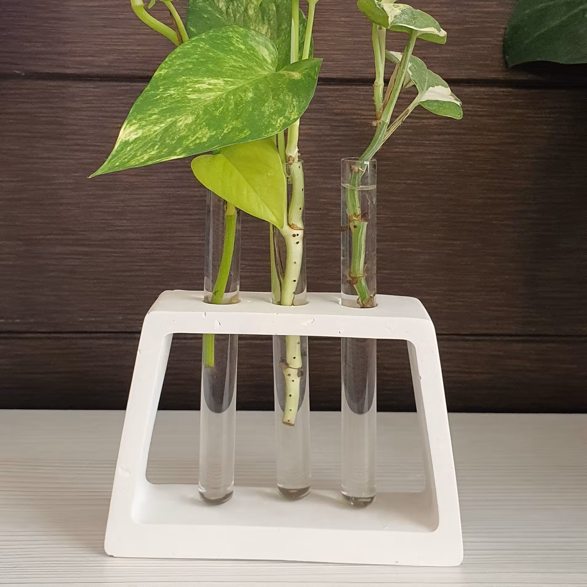 گلدان رومیزی با گیاه