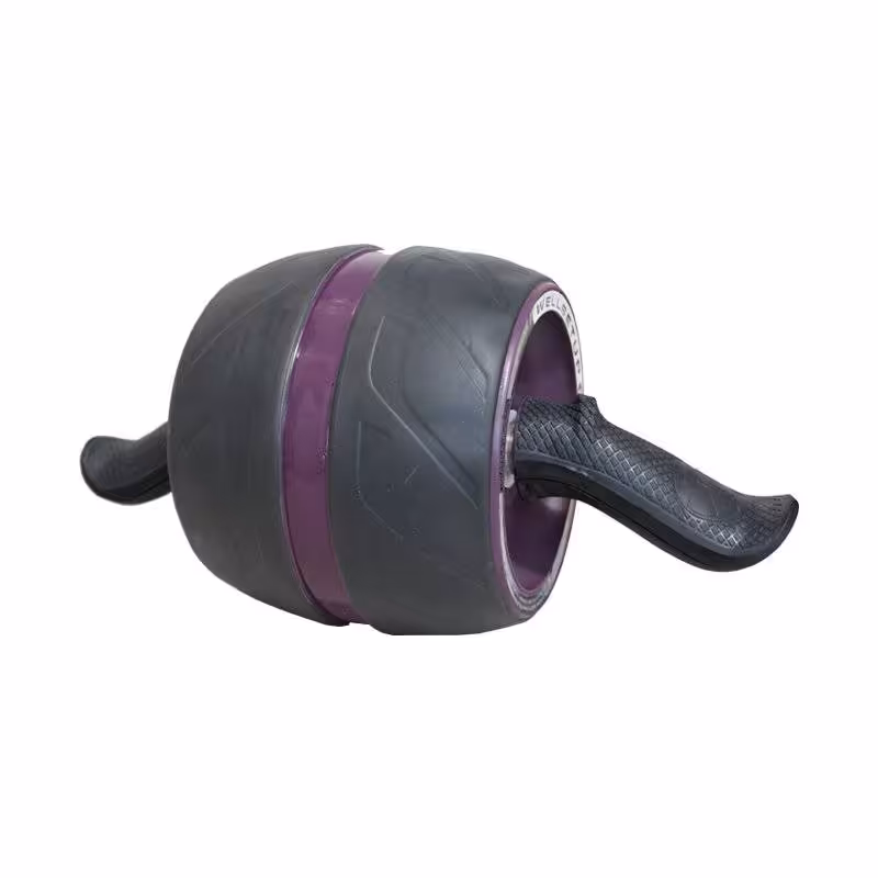 چرخ تمرین شکم دنیای تی آر ایکس TRX world 1204