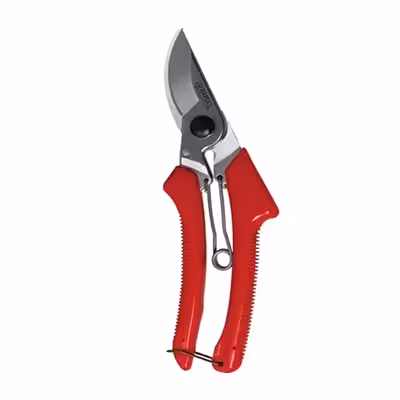 قیچی باغبانی طرح آرس مدل 3313 بهکو