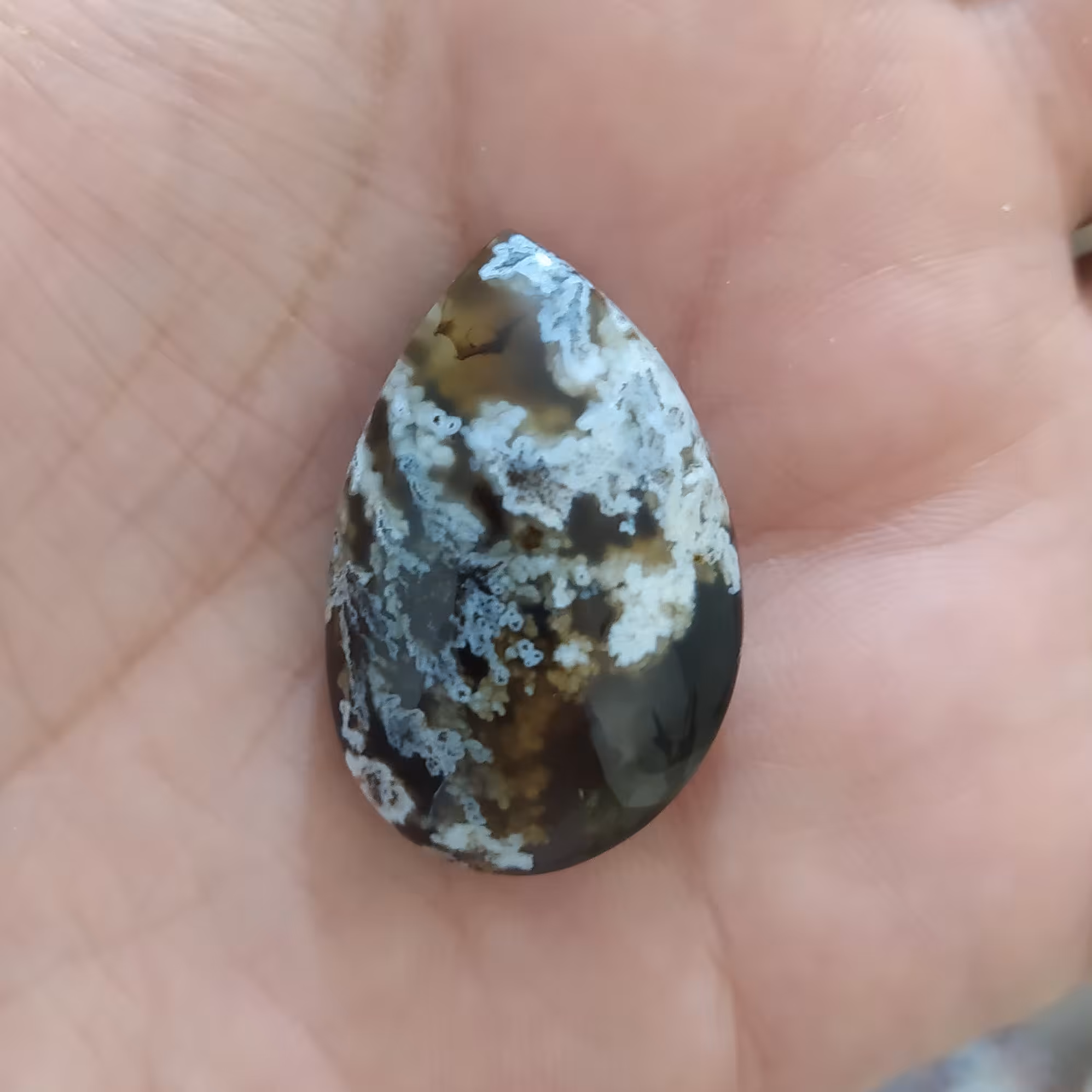 نگین اشکی شجر بهاره