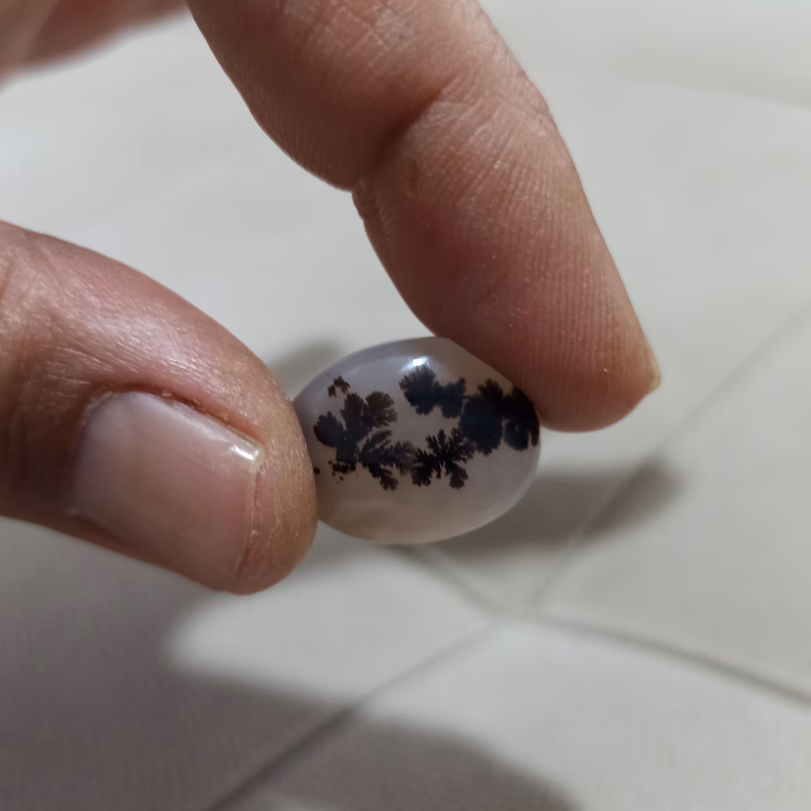 نگین عقیق شجر قاعن 