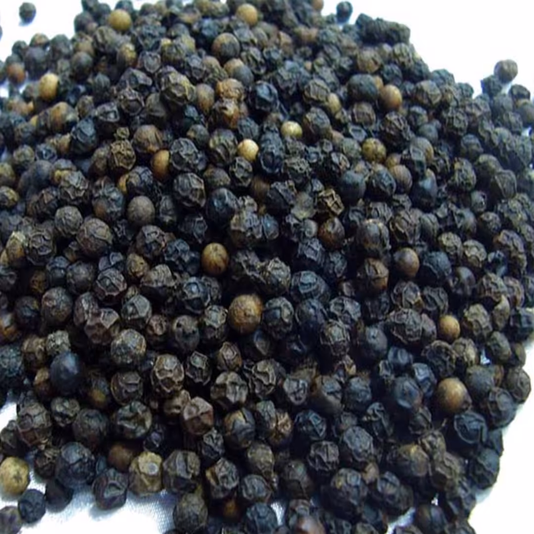 فلفل سیاه ممتاز  (سطل مخصوص 10 کیلو) ارسال رایگان