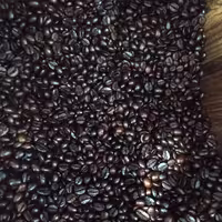 قهوه صددرصدروبوستا دارک☕