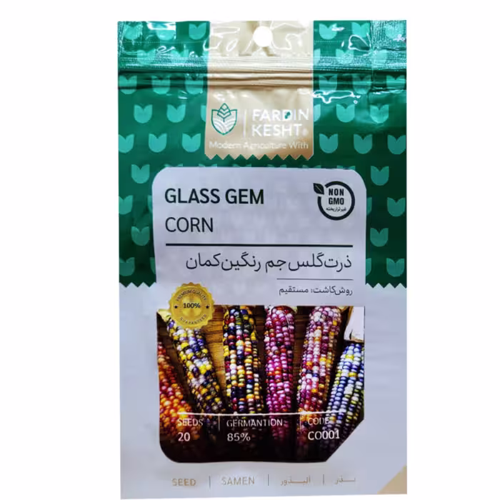 بذر ذرت گلس جم رنگین کمان بسته 20 عددی
