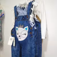 پیش بندی لی