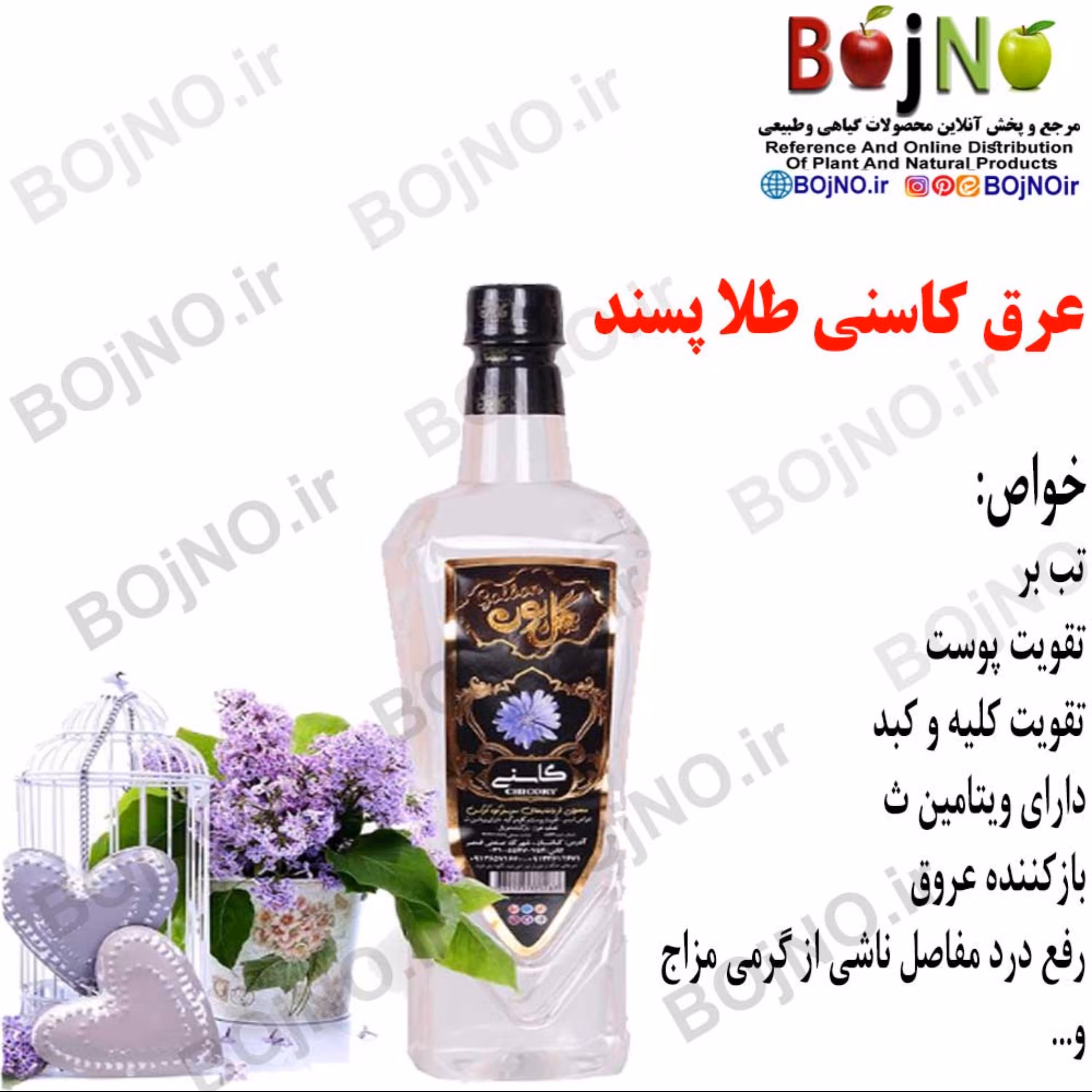 عرق کاسنی طلا پسند ( عرقیات کاشان )