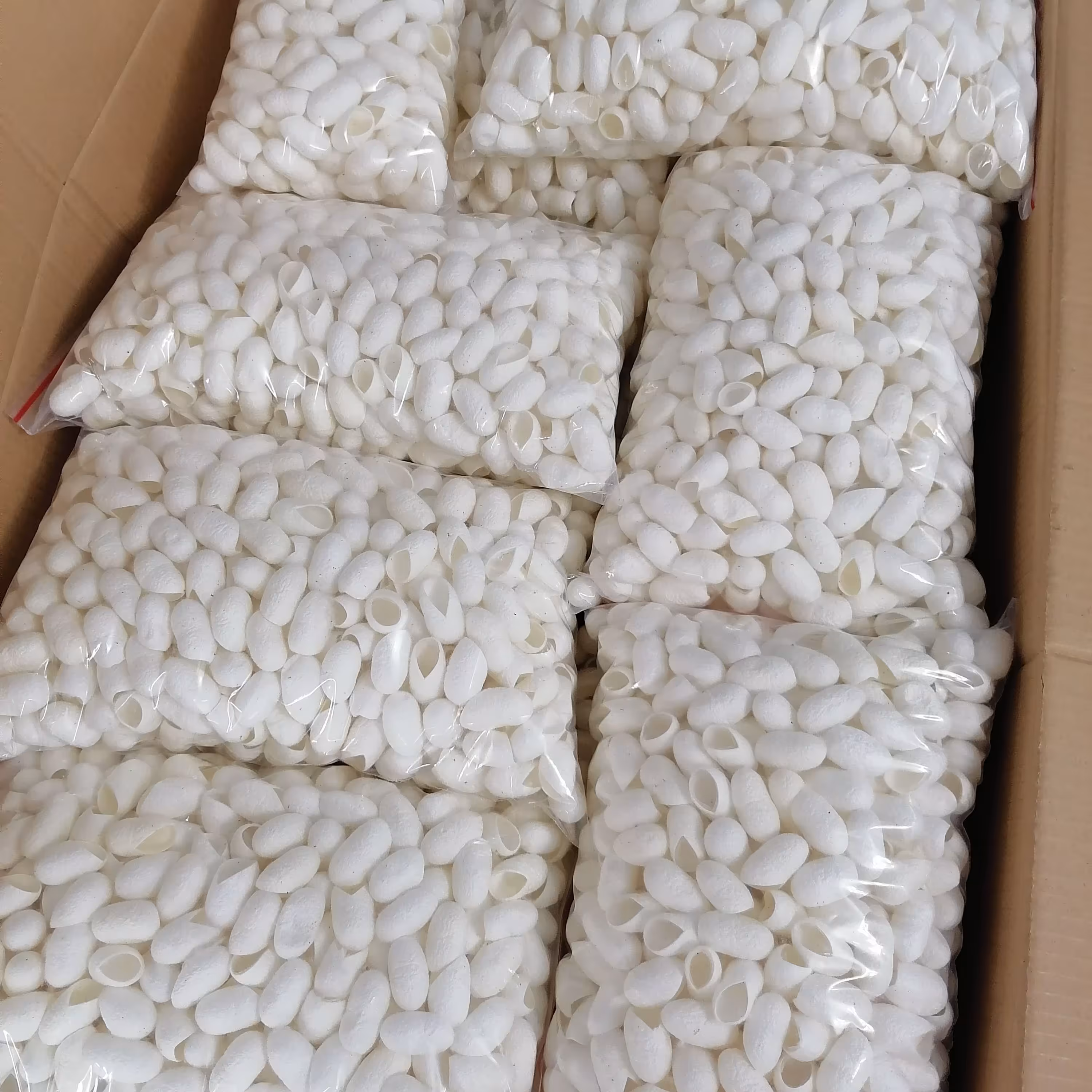 پیله ابریشم درجه یک هزار عددی(مستقیم از پرورش دهنده) 