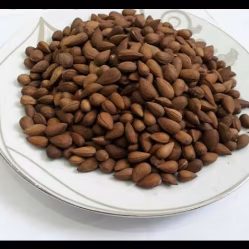 بادام شور،یا بادام کوهی با پوست(1000گرمی)