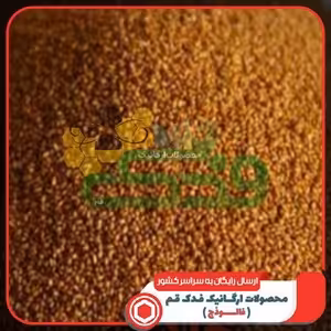 خاکشی (خاکشیر) 5ستاره فدک (100گرم)