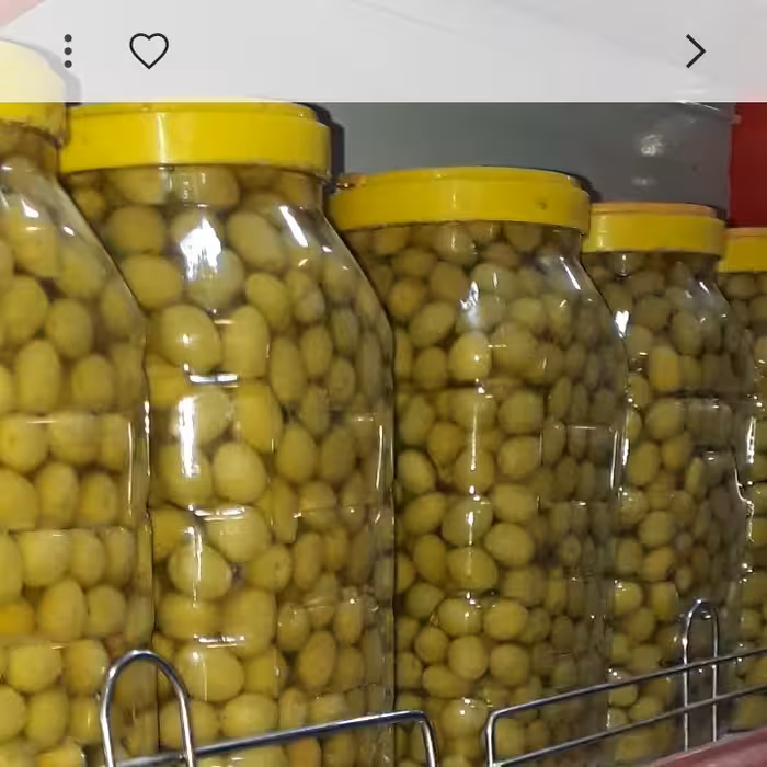 زیتون ویژه یک کیلویی برداشت پاییز 1403