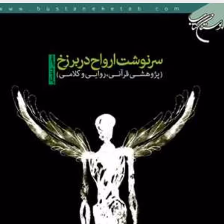 کتاب سرنوشت ارواح در برزخ پژوهشی قرآنی روایی و کلامی اثر مجتبی شاهملکی بوستان کتاب
