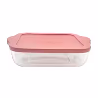 ظرف نگهدارنده پاشاباغچه مدل بورجام 59034