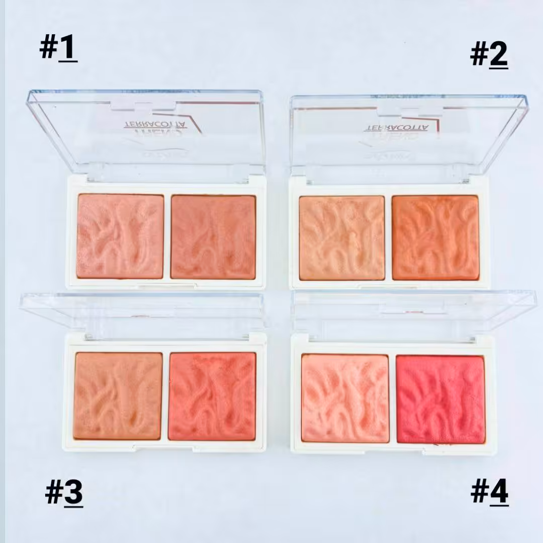 پالت رژ گونه و هایلایتر سنگی آرت اسکین 