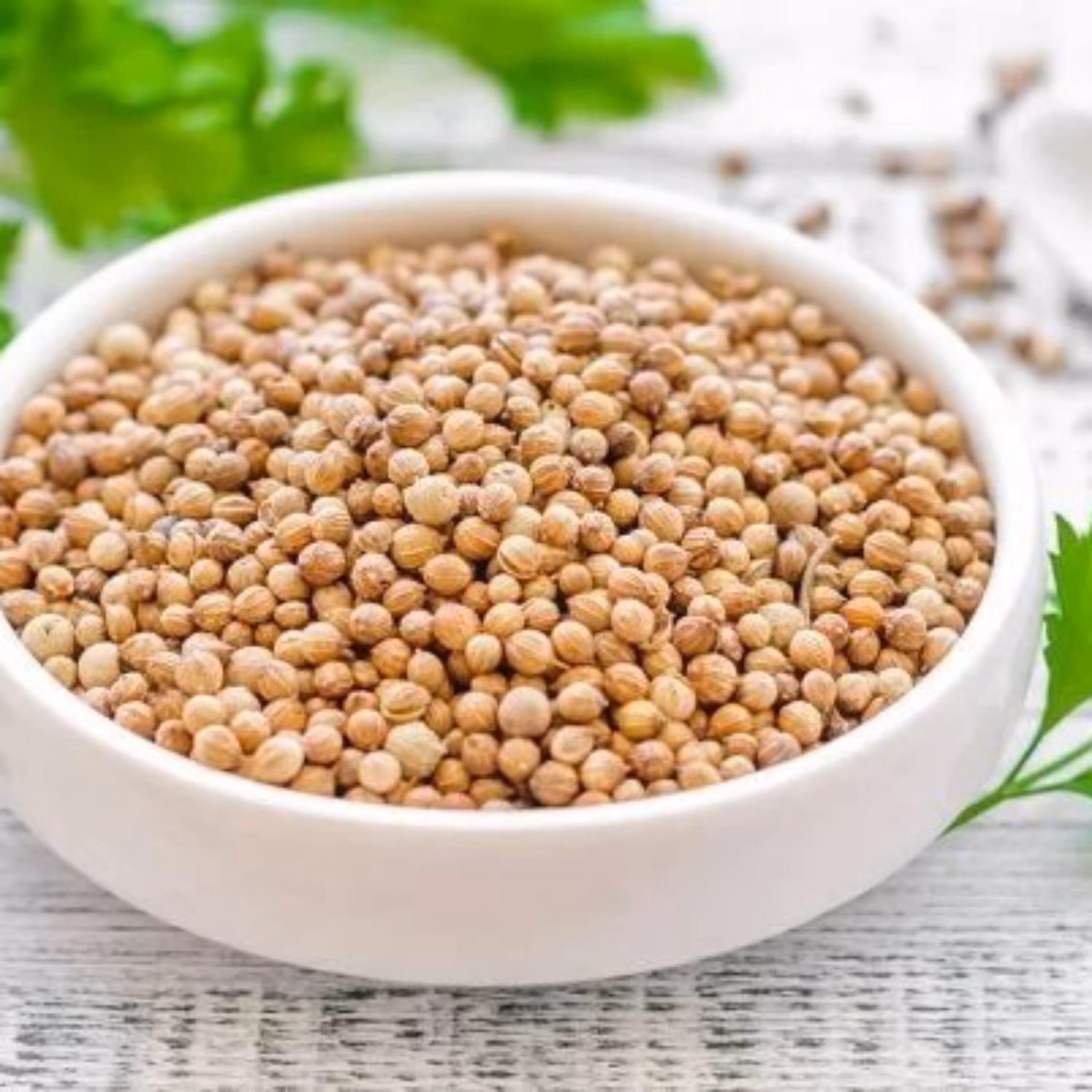 تخم گشنیز  450 گرمی