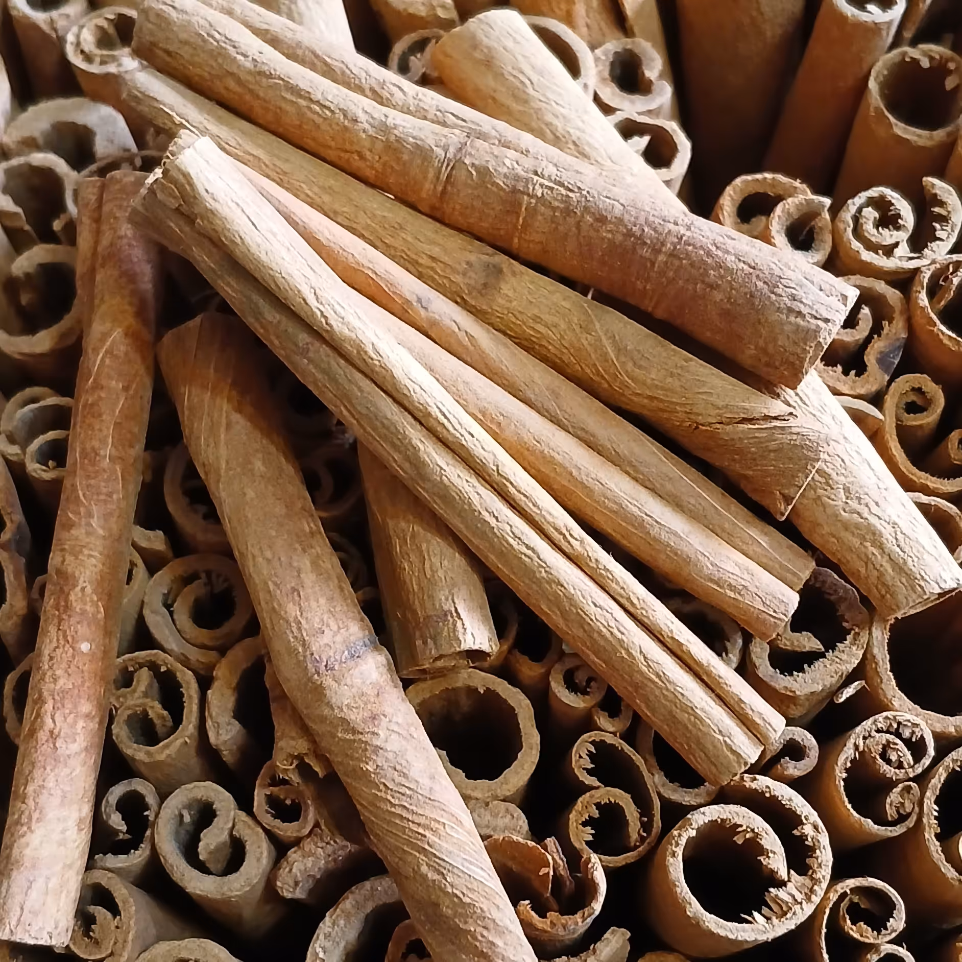 دارچین سیگاری 250گرم