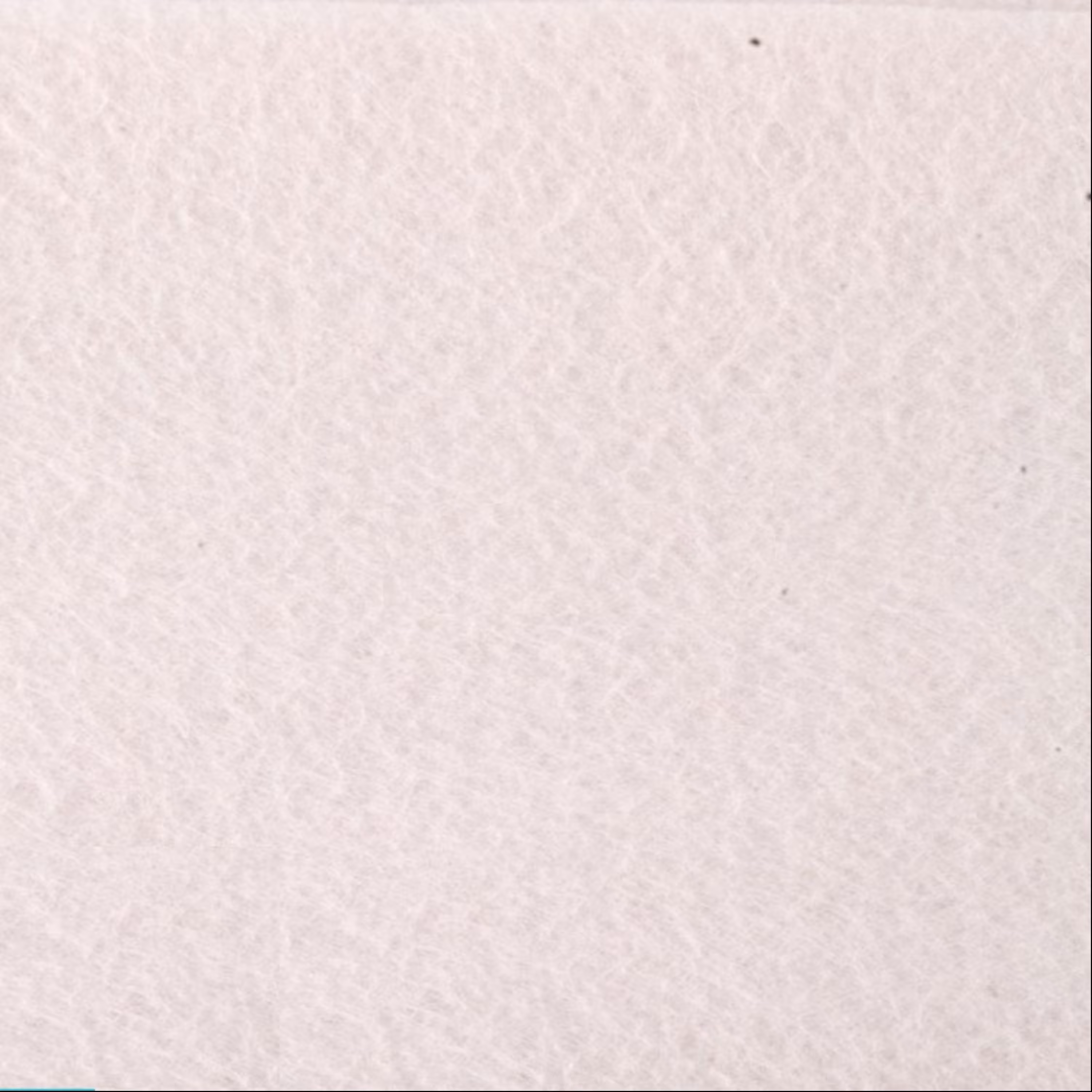 نمد سفید برفی (سایز 50x50 سانتی متر)(ضخامت 2 میلی متر)