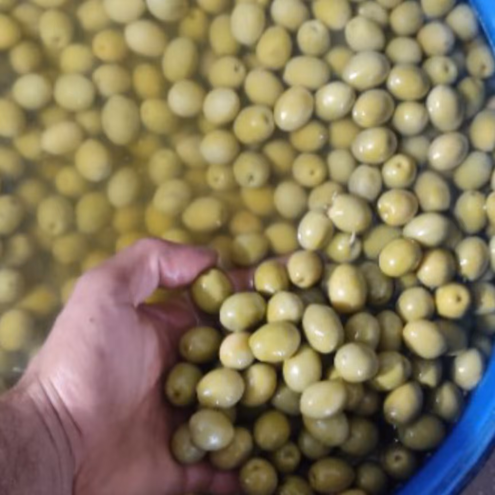 زیتون مخلوط فله ای 7 کیلویی