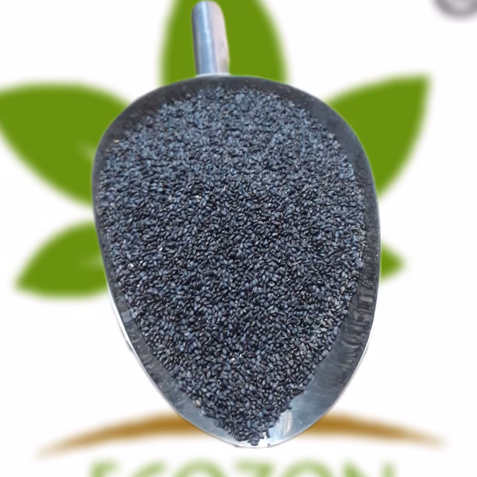 تخم شربتی اعلاء