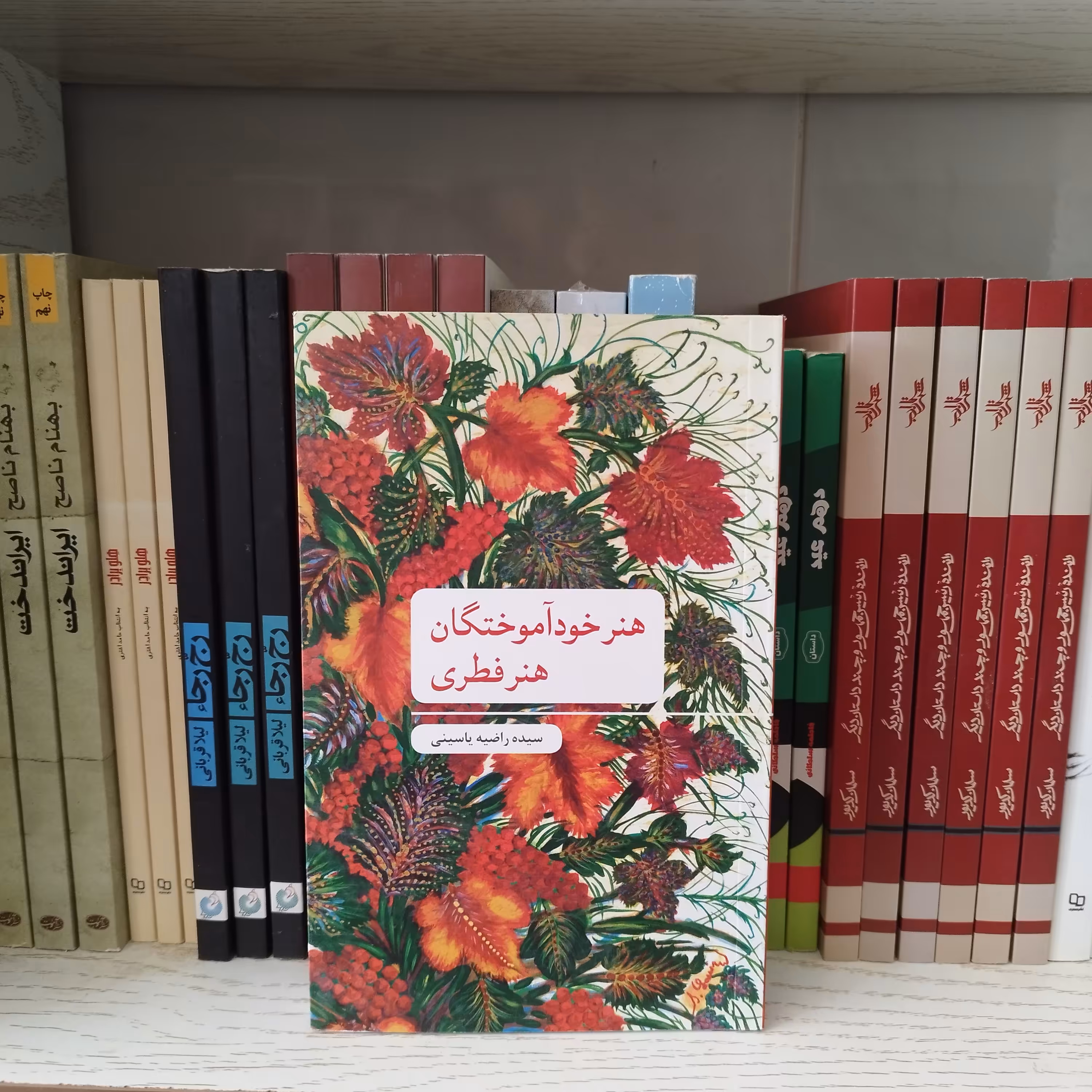 کتاب هنر خود آموختگان هنر فطری