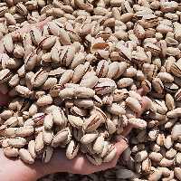 پسته اکبری  درجه یک با عیار بالا