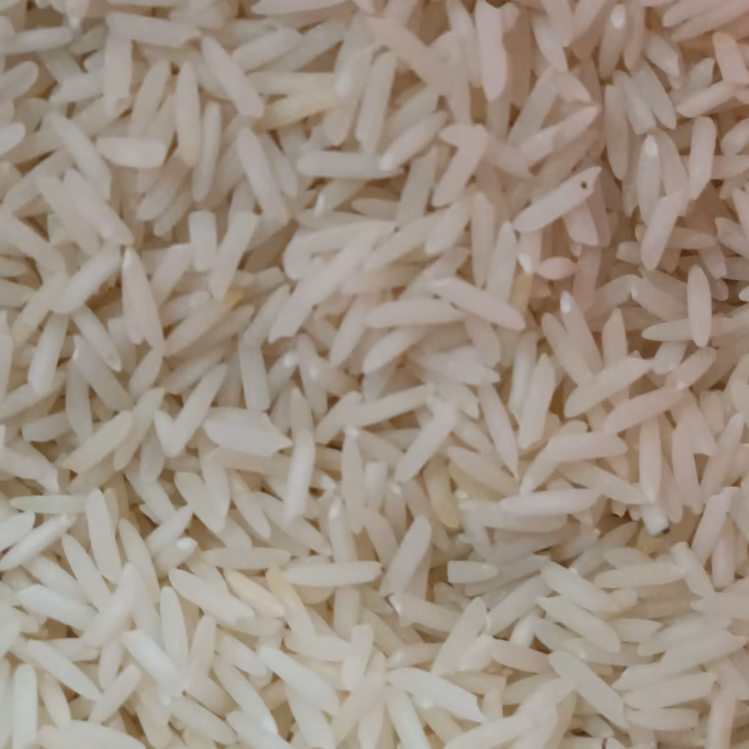 برنج پشت سرا