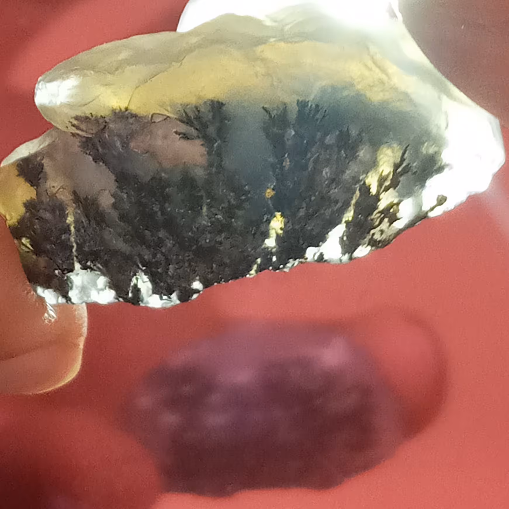 سنگ عقیق شجر قائن دو گُل