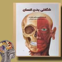 کتاب سه بعدی شگفتی بدن انسان، انتشارات جابیرو
