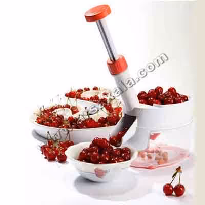 هسته گیر آلبالو تکتا