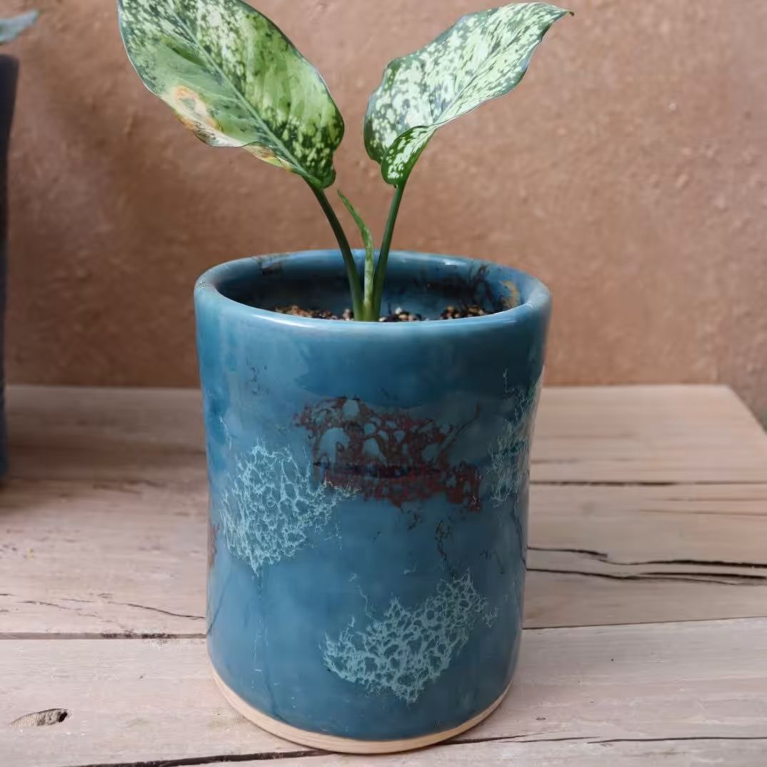 گلدان کاشت کوچک با لعاب قلیایی 