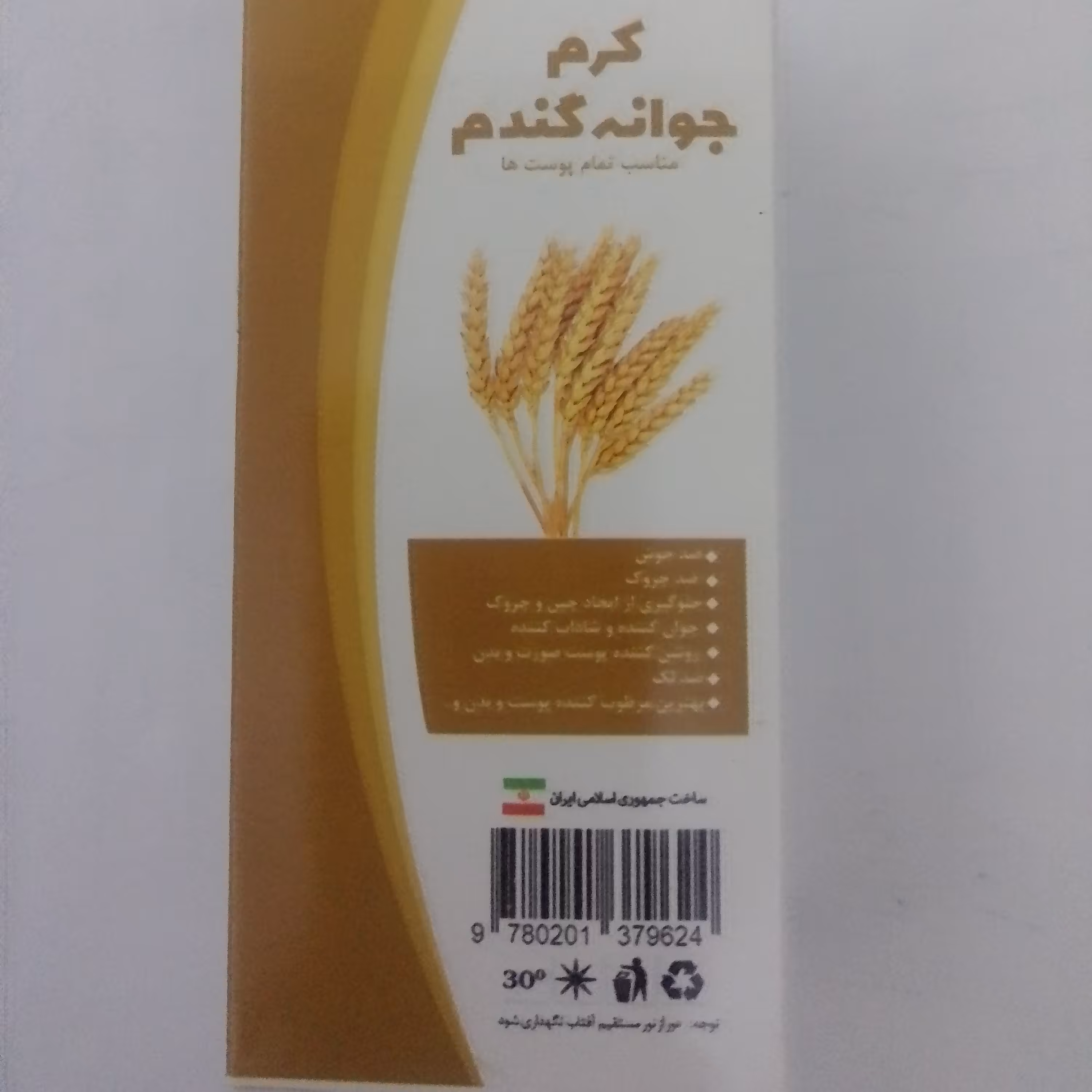 کرم جوانه گندم 